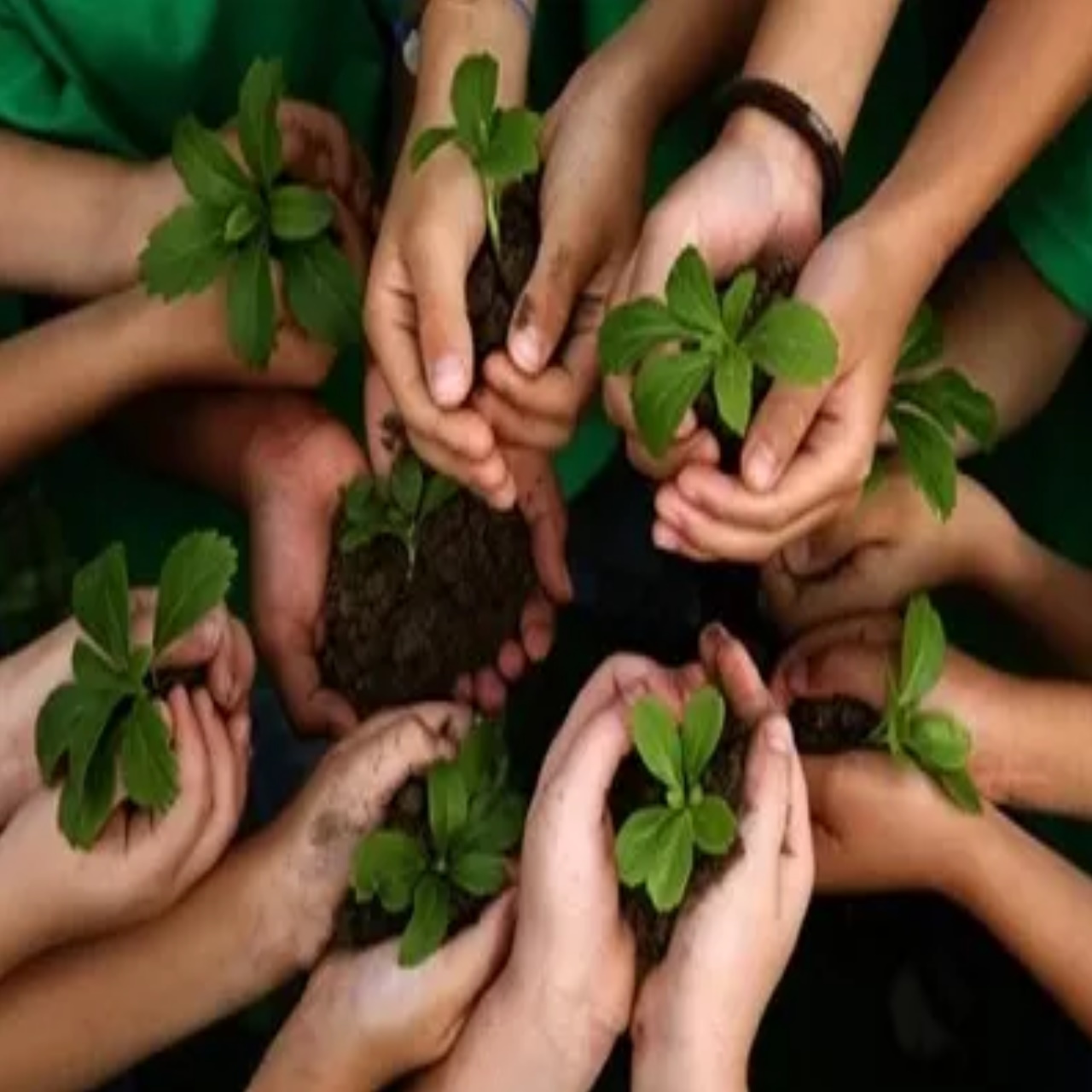 worldenvironmentday-,wed2025-,environmentday-,sustainability-,ecofriendly-,savetheplanet-,greenliving,beatplasticpollution-,endplasticpollution-,plasticfreefuture-,saynotoplastic-,reducereuserecycle,thinkgreen