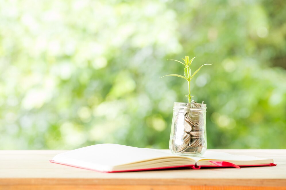 icici-prudential-asset-management-company,icici-prudential-smallcap-fund